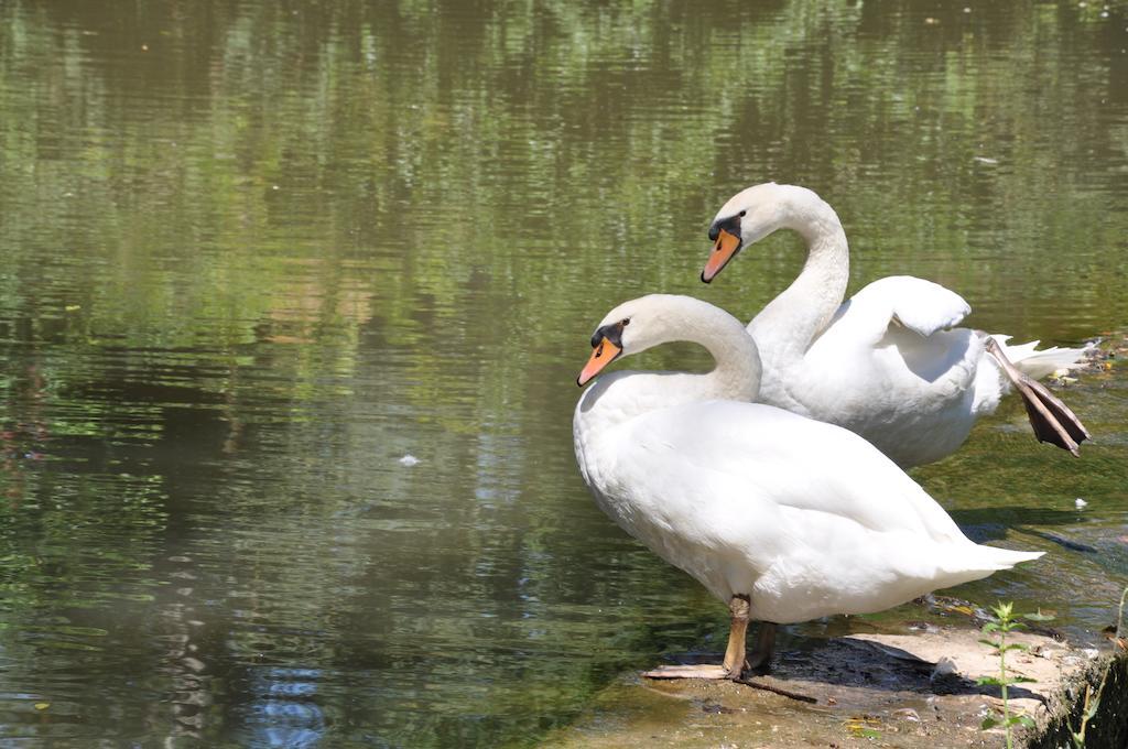 Hostellerie Restaurant Les Gorges De L'Aveyron Bruniquel Ngoại thất bức ảnh